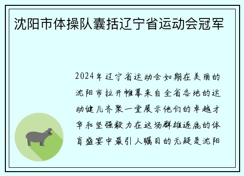 沈阳市体操队囊括辽宁省运动会冠军