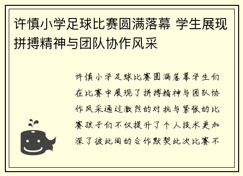 许慎小学足球比赛圆满落幕 学生展现拼搏精神与团队协作风采