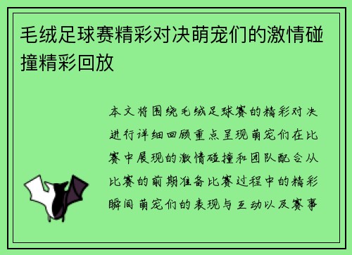 毛绒足球赛精彩对决萌宠们的激情碰撞精彩回放