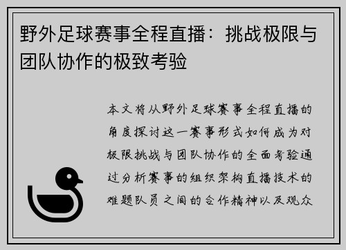 野外足球赛事全程直播：挑战极限与团队协作的极致考验
