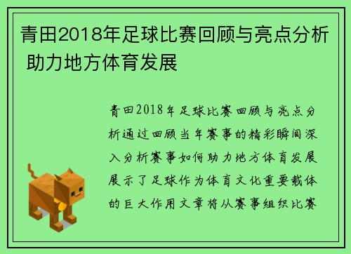 青田2018年足球比赛回顾与亮点分析 助力地方体育发展