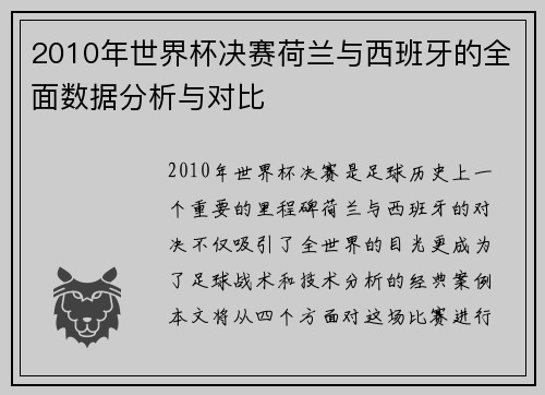 2010年世界杯决赛荷兰与西班牙的全面数据分析与对比