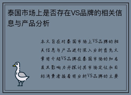 泰国市场上是否存在VS品牌的相关信息与产品分析