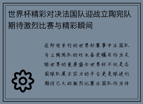 世界杯精彩对决法国队迎战立陶宛队期待激烈比赛与精彩瞬间